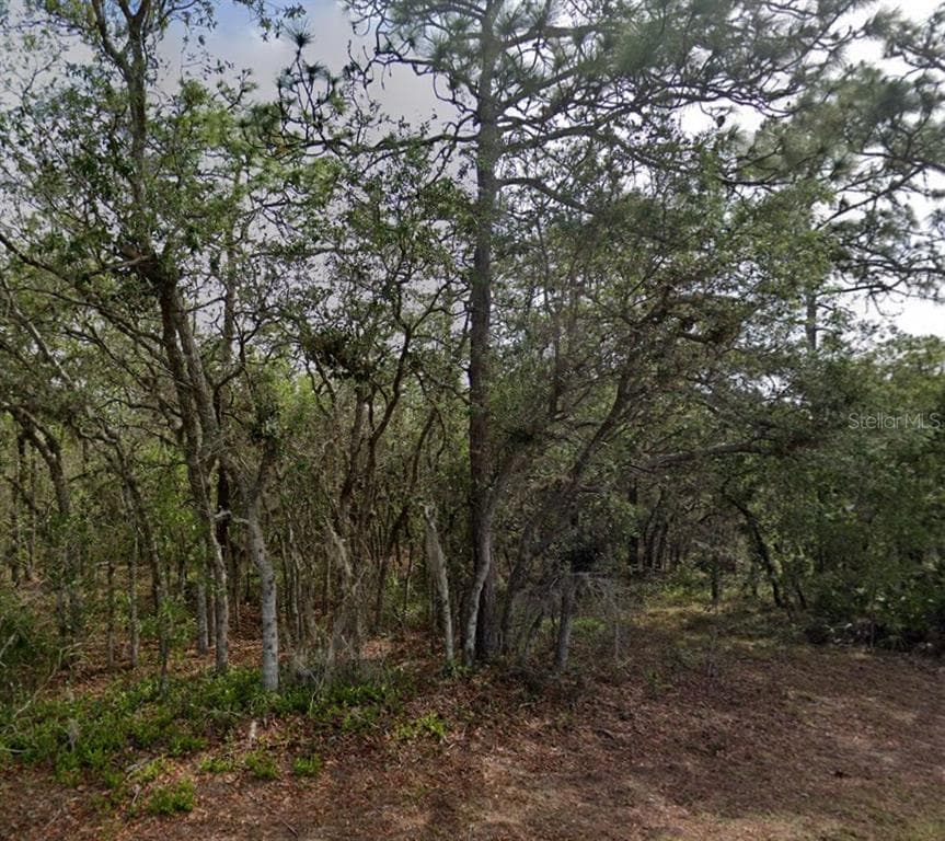 10 MILBARK DRIVE HOMOSASSA, FL 34446