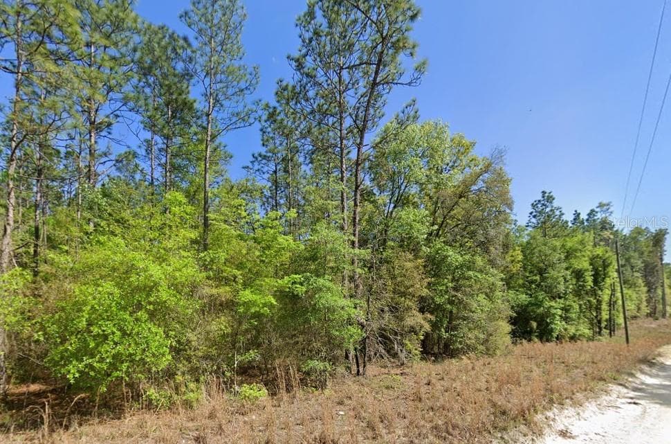 NW 16TH AVENUE BELL, FL 32619