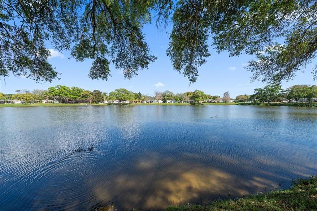 2712 LESLEE LAKE DRIVE N ST PETERSBURG, FL 33713