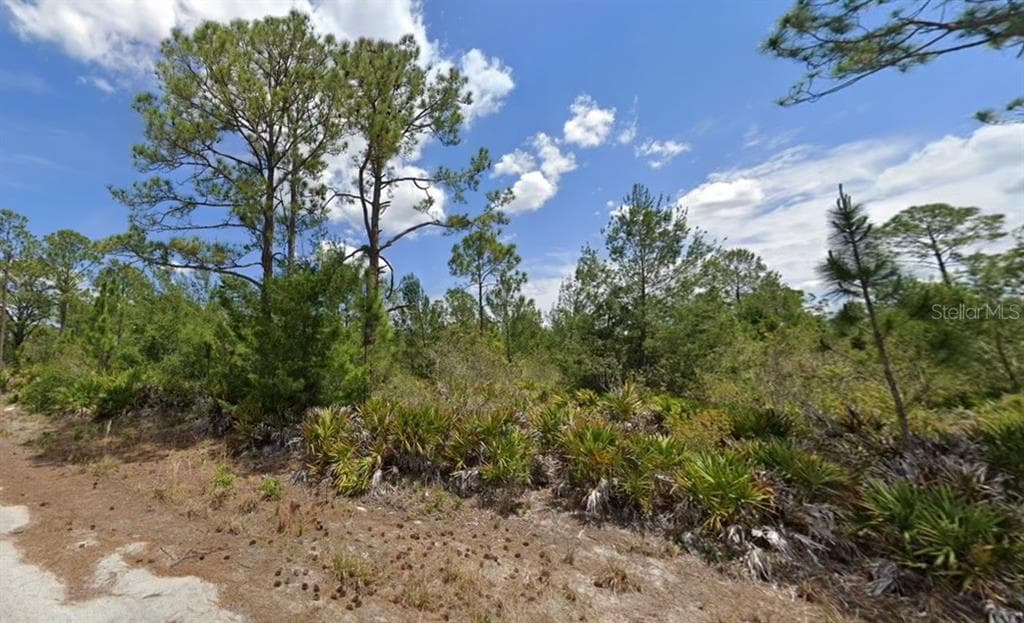 1132 CAMELBACK STREET LAKE PLACID, FL 33852