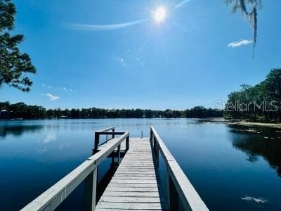 1743 ROWLAND DRIVE ODESSA, FL 33556