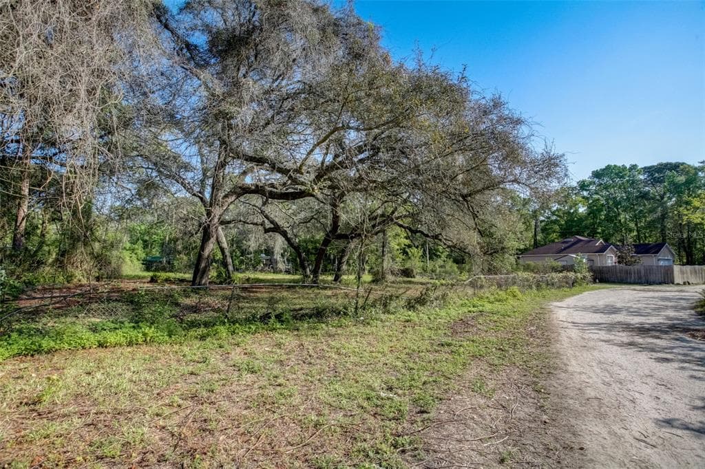 10729 ALSIP STREET NEW PORT RICHEY, FL 34654
