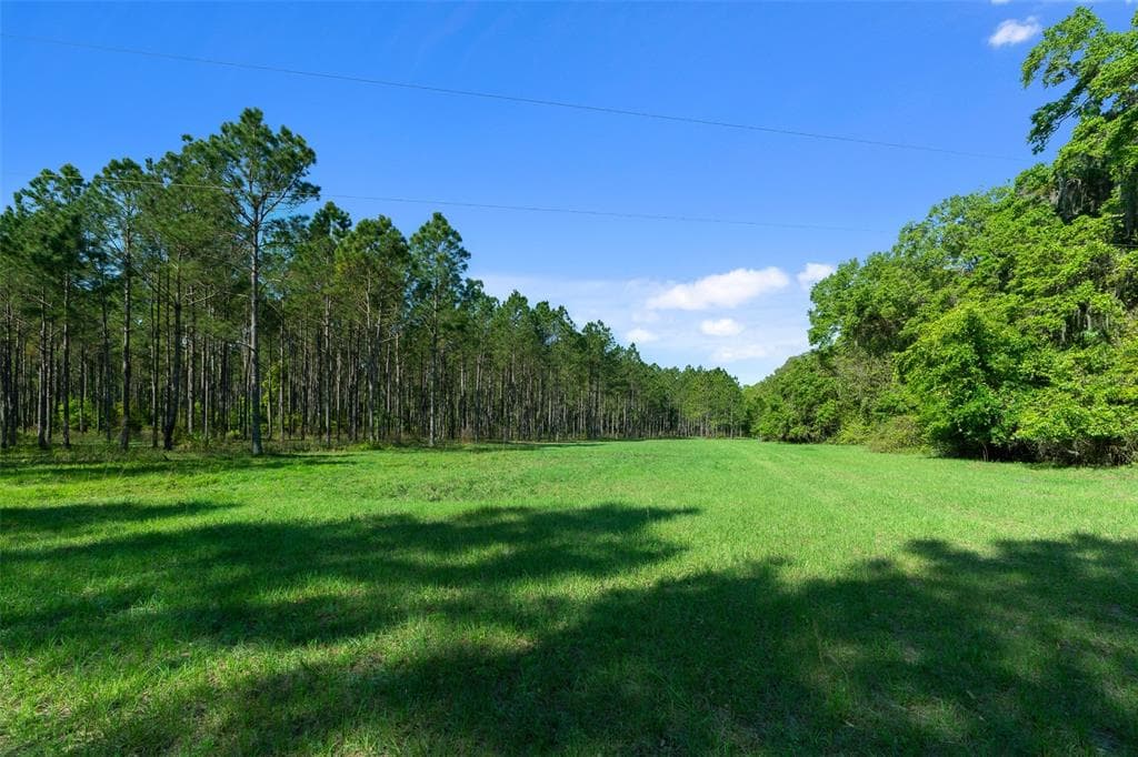 0 COUNTY ROAD 1469 HAWTHORNE, FL 32640