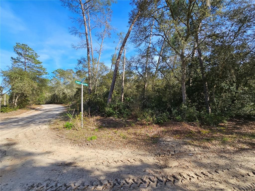 130 DEER STAND FLORAHOME, FL 32140