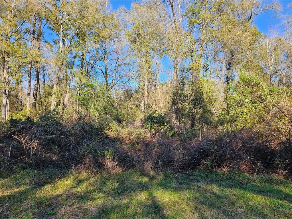 138 DEER STAND ROADS FLORAHOME, FL 32140
