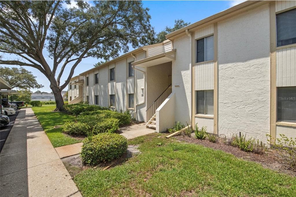 207 PALMETTO COURT OLDSMAR, FL 34677