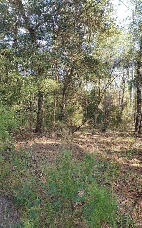 SW 19TH PLACE OCALA, FL 34481