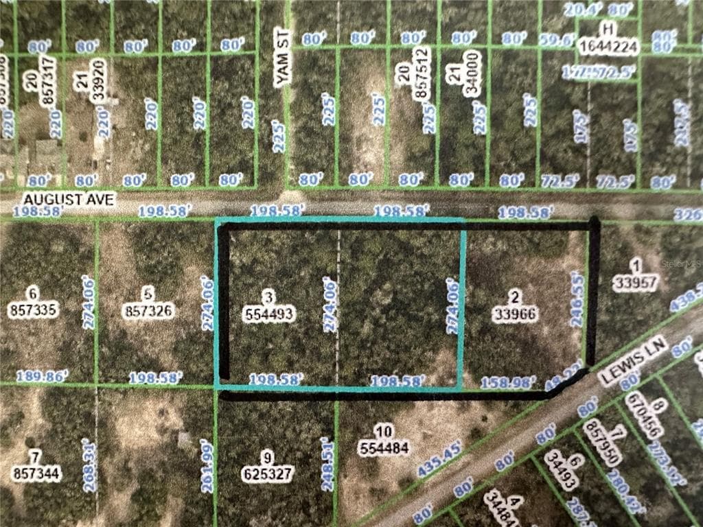 33480 AUGUST AVENUE WEBSTER, FL 33597