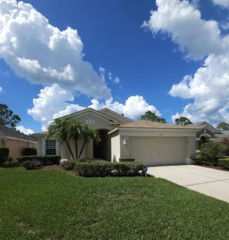 19619 BELLEHURST LOOP LAND O LAKES, FL 34638