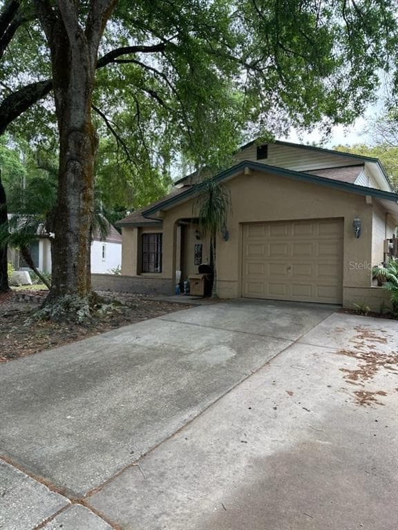 16318 CALIENTE PLACE TAMPA, FL 33624