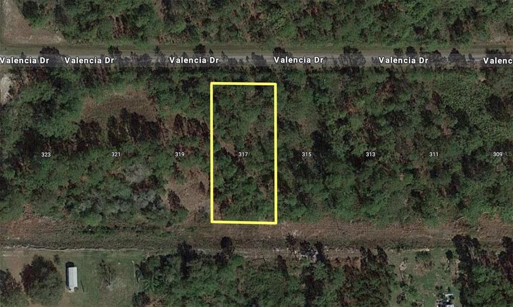 317 VALENCIA DRIVE INDIAN LAKE ESTATES, FL 33855
