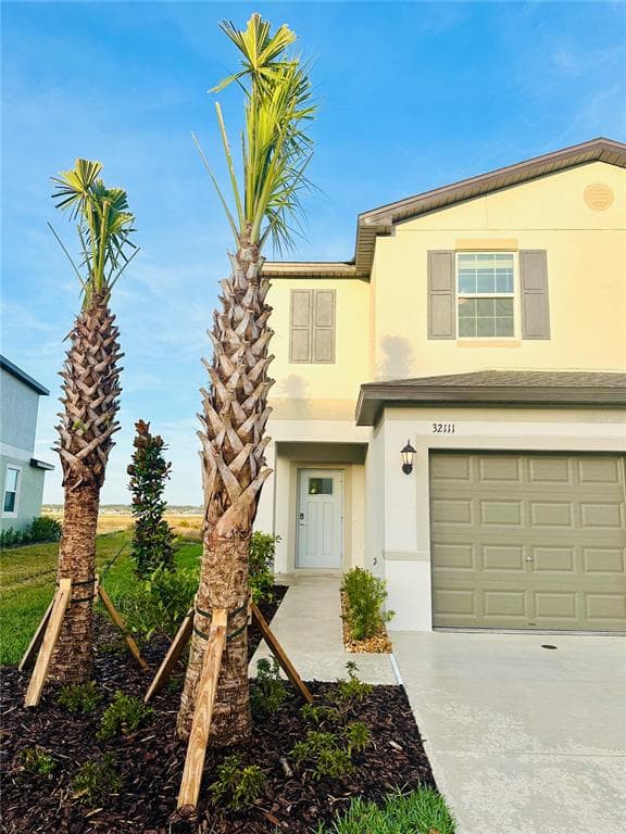 32111 POWDERPUFF MIMOSA DRIVE SAN ANTONIO, FL 33576