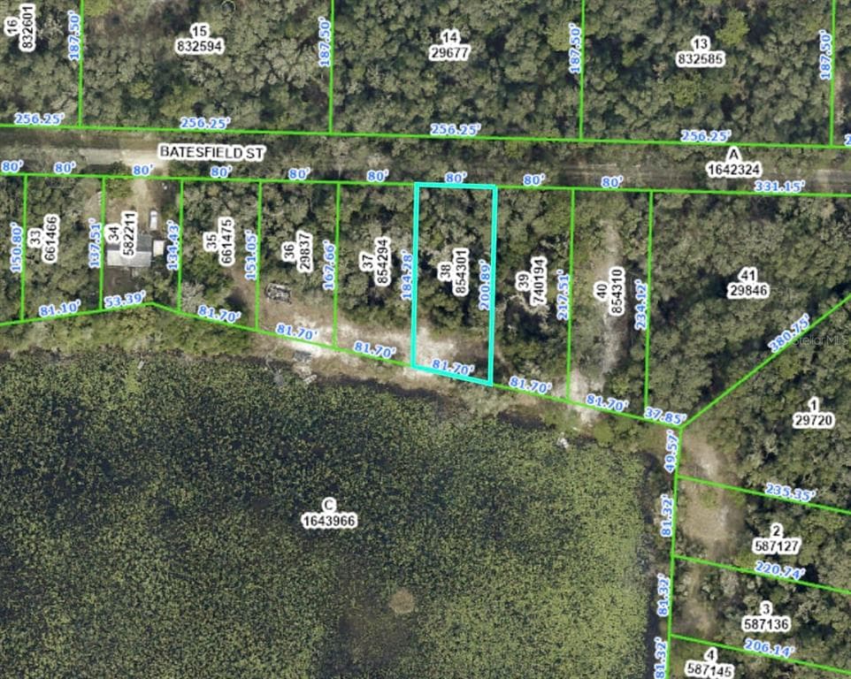 35090 BATESFIELD STREET WEBSTER, FL 33597