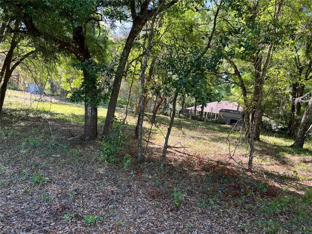 34032 DIPLOMAT STREET DADE CITY, FL 33523