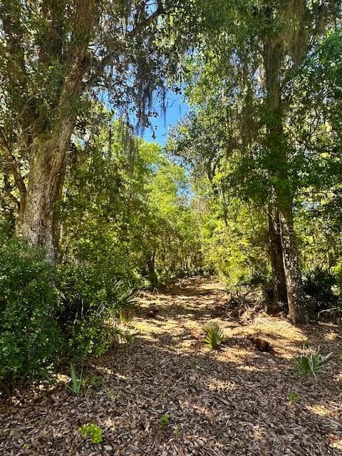 0 S COUNTY ROAD 325 CROSS CREEK, FL 32640