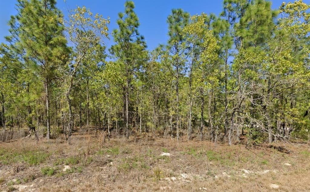 12495 TINAMOU AVENUE WEEKI WACHEE, FL 34614