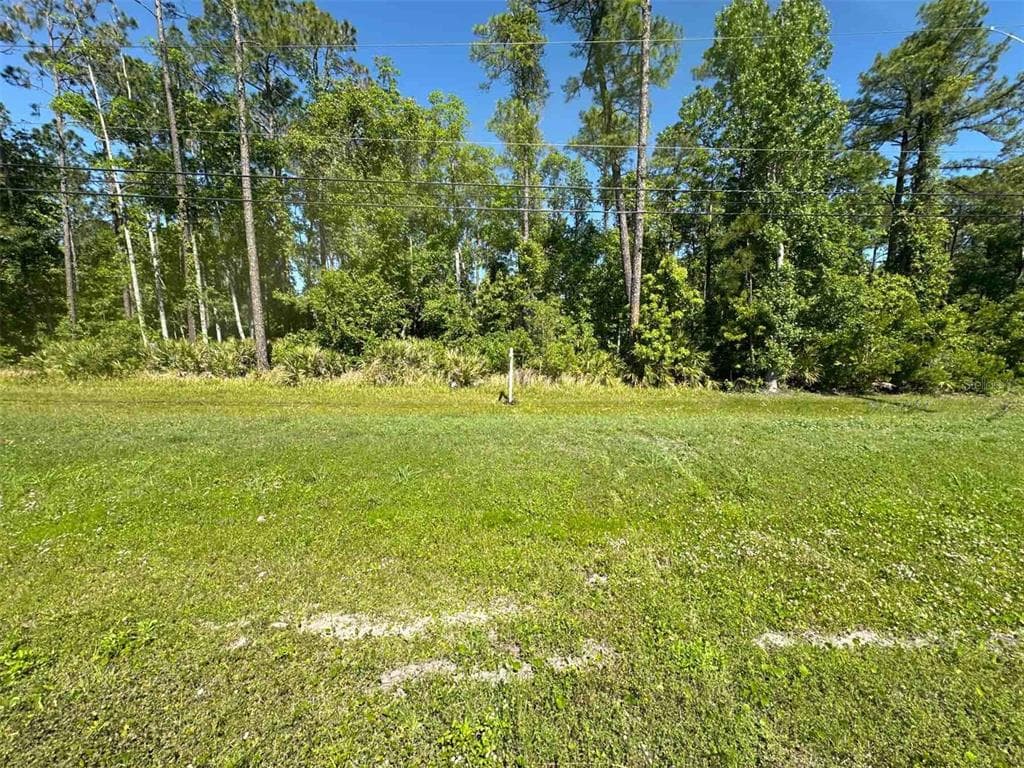 811 S HWY 17 SATSUMA, FL 32189