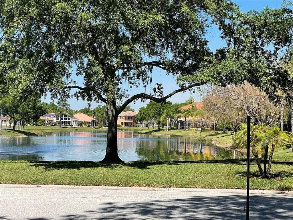 21127 SAN PABLO DRIVE LAND O LAKES, FL 34637