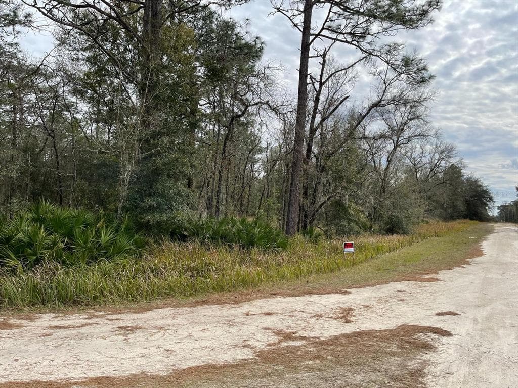 0 SW 91 LANE DUNNELLON, FL 34432