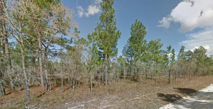 SE 6TH LN WILLISTON, FL 32696