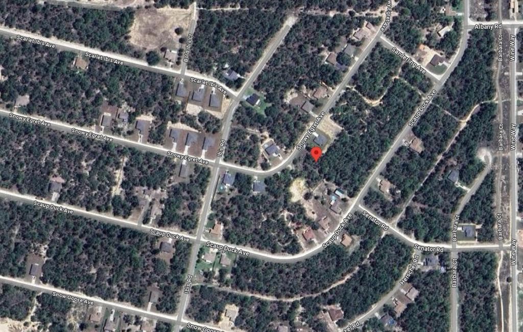 12328 SNOWY EGRET AVENUE WEEKI WACHEE, FL 34614