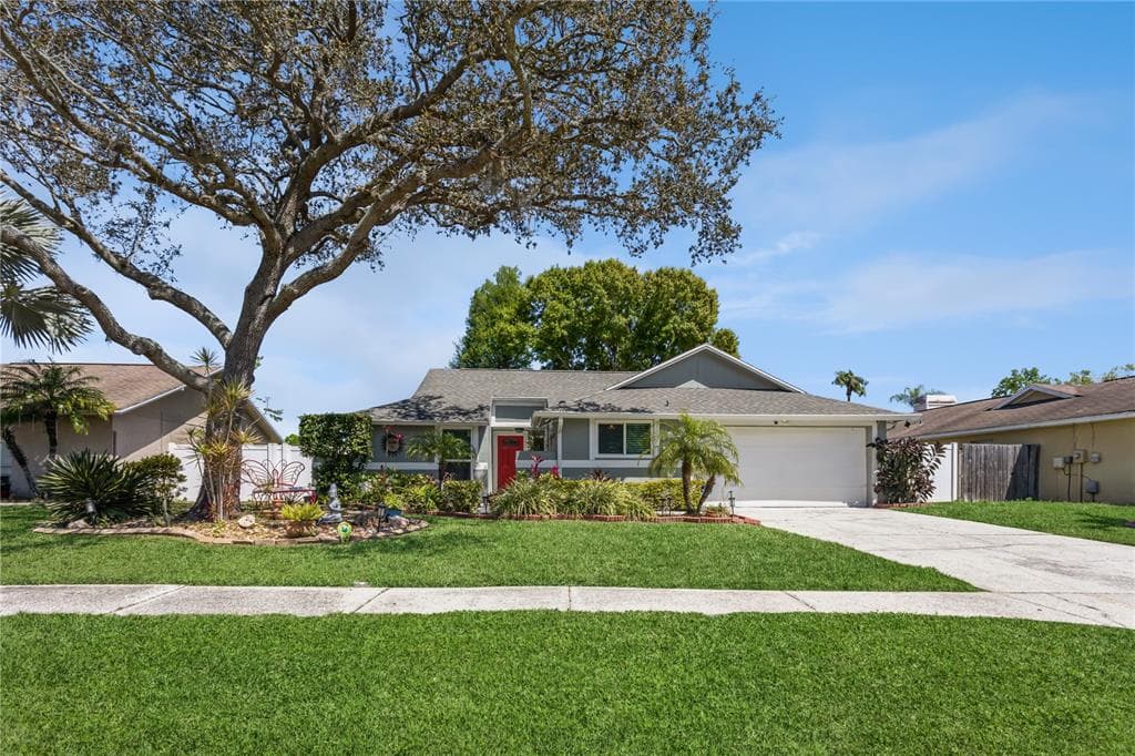 5367 BLACK PINE DRIVE TAMPA, FL 33624