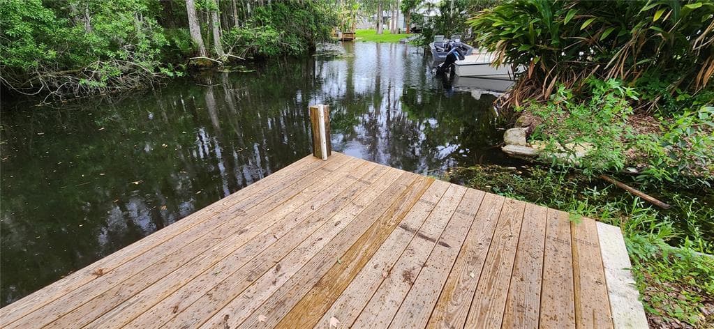 14456 GENEVA DRIVE ODESSA, FL 33556