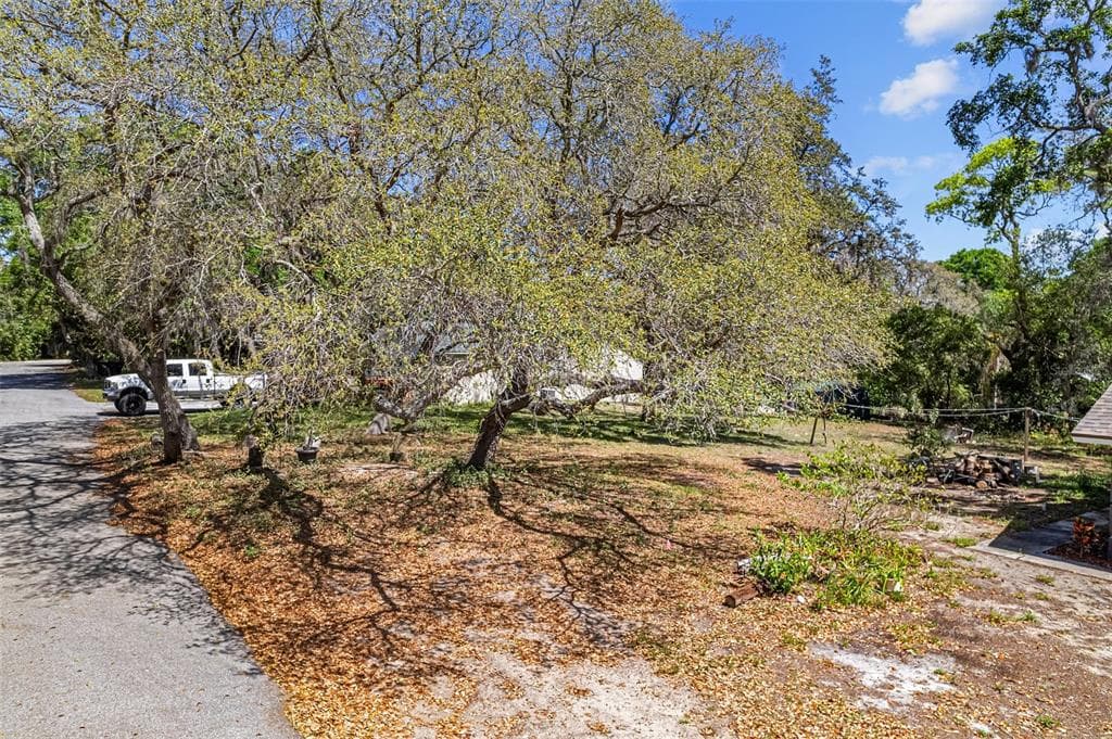 WILMAR AVENUE TARPON SPRINGS, FL 34689
