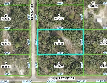 8130 RENOVA DRIVE WEBSTER, FL 33597