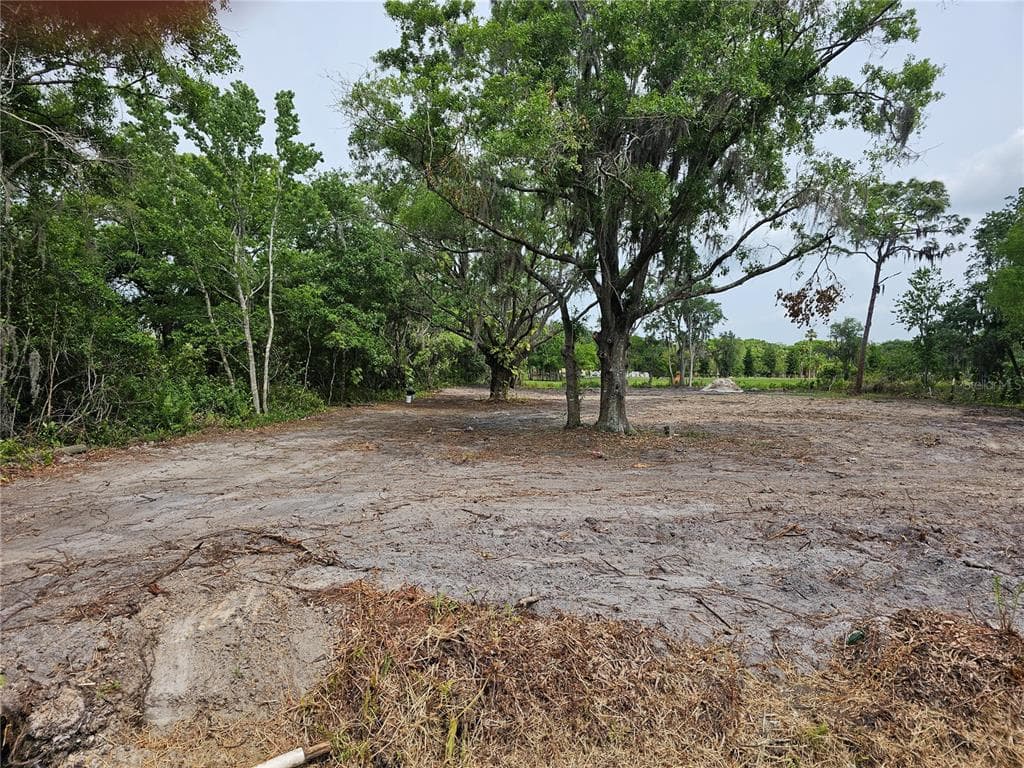 0 JANES DRIVE WIMAUMA, FL 33598