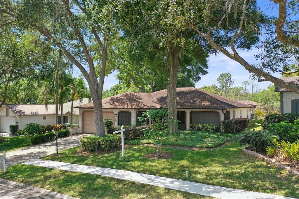 3592 OAK LAKE DRIVE PALM HARBOR, FL 34684