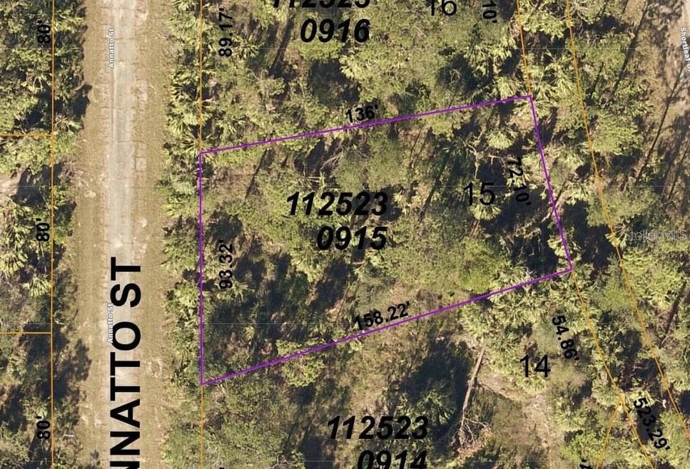 LANGLAIS DRIVE NORTH PORT, FL 34288