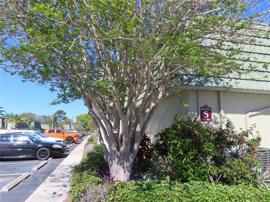 1799 N HIGHLAND AVENUE UNIT 59 CLEARWATER, FL 33755