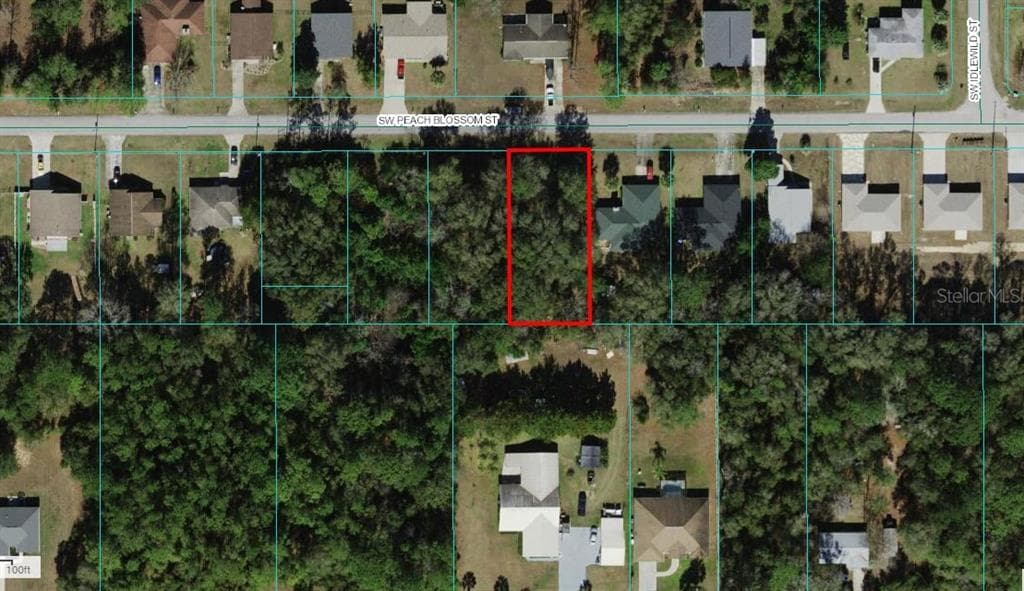 PEACH BLOSSOM STREET DUNNELLON, FL 34431