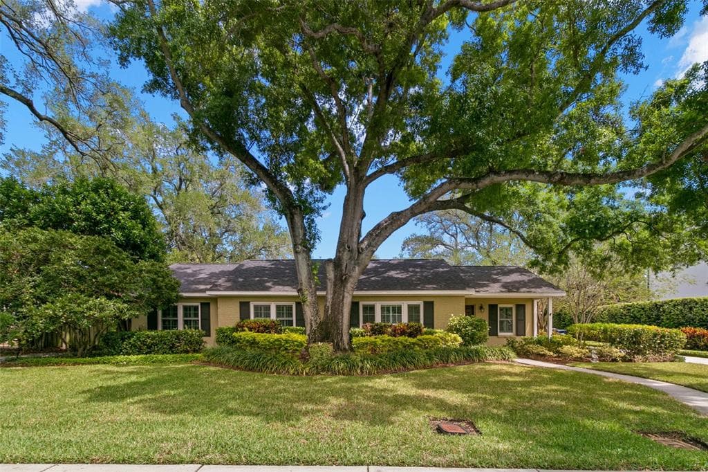 529 LUCERNE AVENUE TAMPA, FL 33606