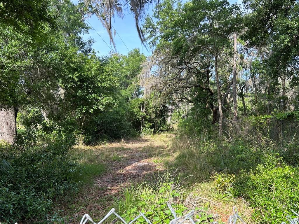 8605 PITT ROAD PLANT CITY, FL 33567