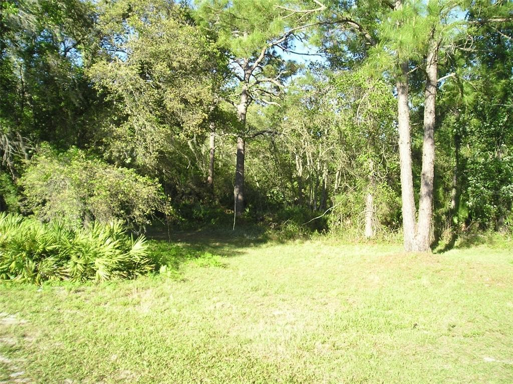 STATE ROAD 33 POLK CITY, FL 33868
