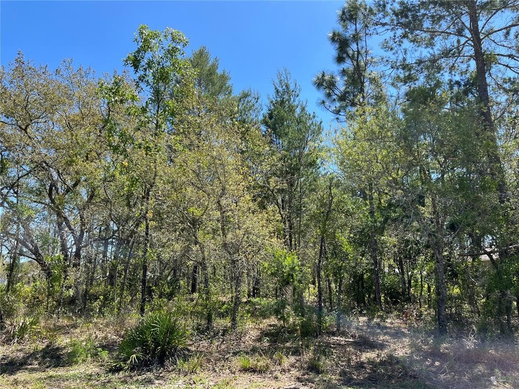 12048 IPSWICH SPARROW ROAD WEEKI WACHEE, FL 34614