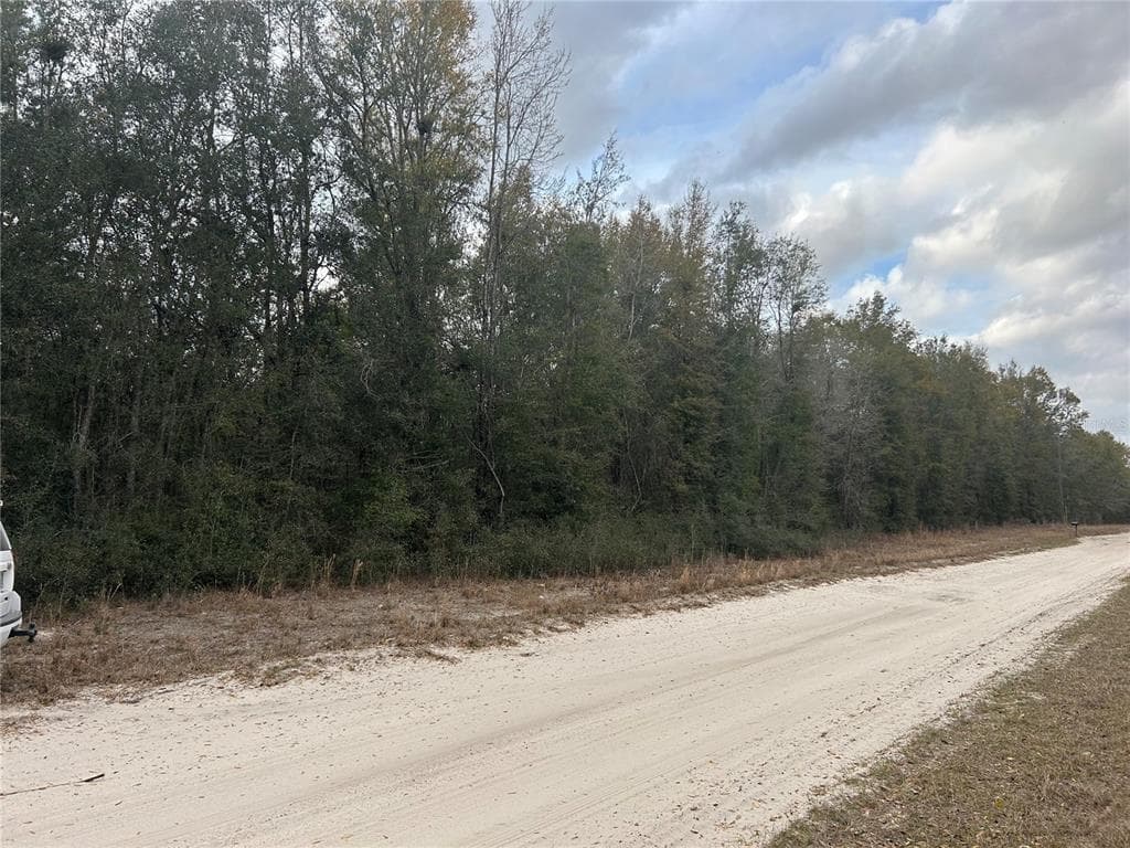 LOT 7 SW COYOTE CIRCLE FORT WHITE, FL 32038