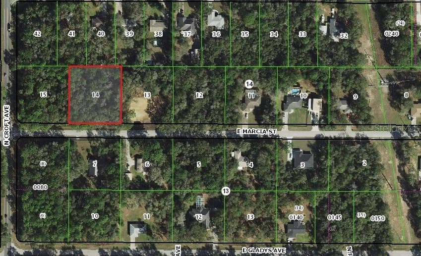 2955 E MARCIA STREET INVERNESS, FL 34453