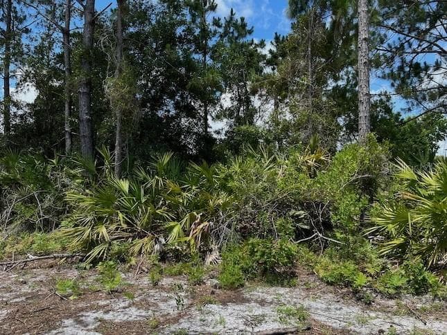 3 FLAXTON COURT PALM COAST, FL 32137