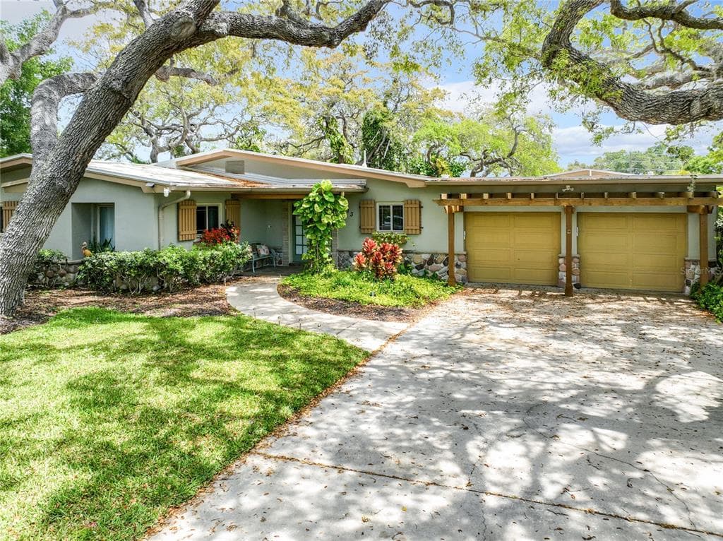 313 PALMETTO LANE