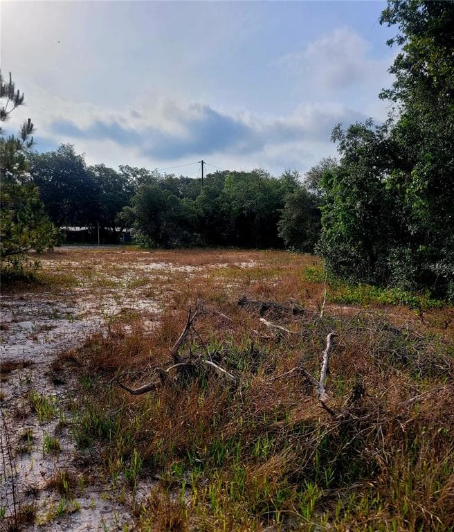 157 DEER RUN DRIVE DAVENPORT, FL 33837