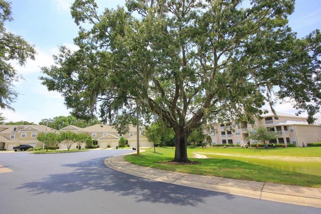 2439 EARLSWOOD COURT BRANDON, FL 33510