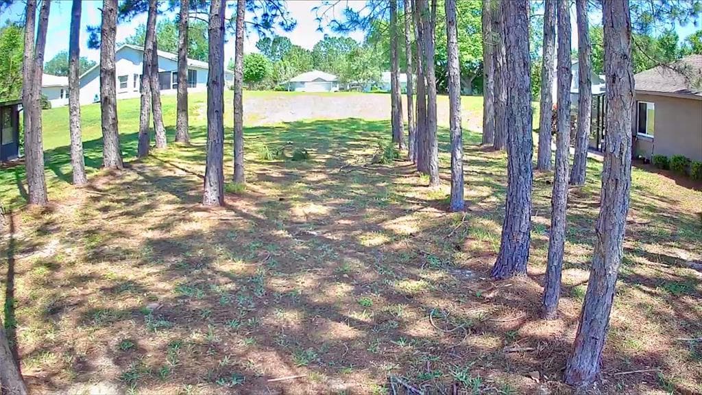 1847 W NICOLE DRIVE LECANTO, FL 34461