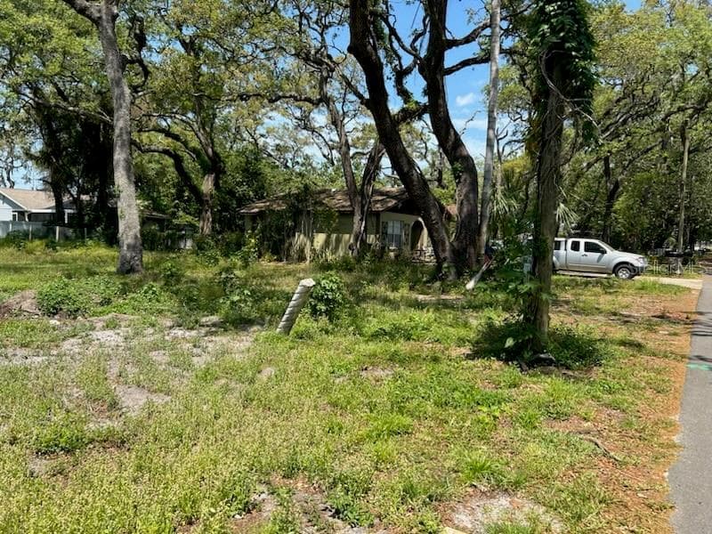 8906 N OTIS AVENUE TAMPA, FL 33604