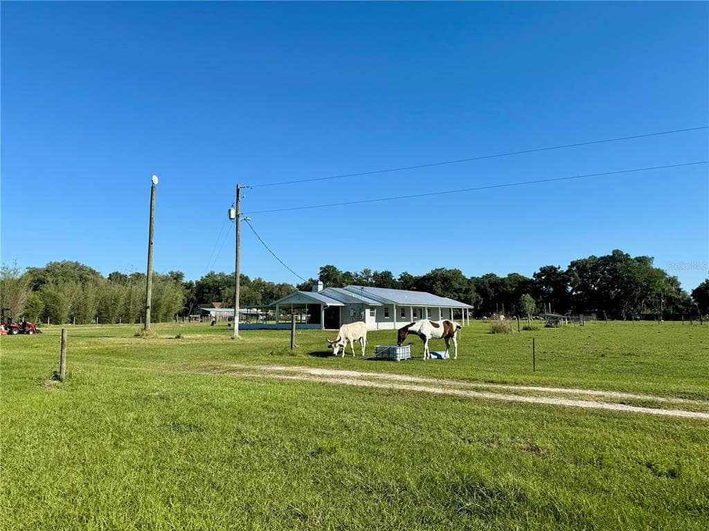 9124 CAREY ROAD LITHIA, FL 33547
