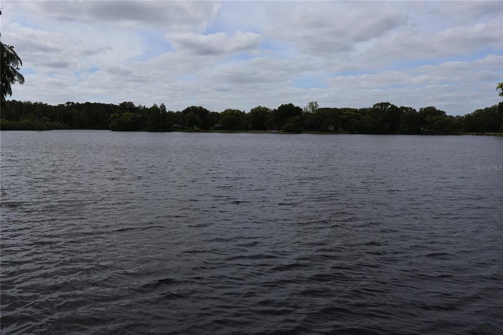 21104 LAKE PATIENCE ROAD UNIT 1 LAND O LAKES, FL 34638