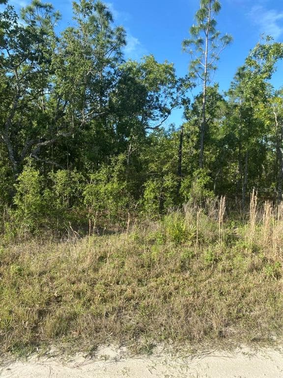 12242 SNOWY EGRET AVENUE WEEKI WACHEE, FL 34614