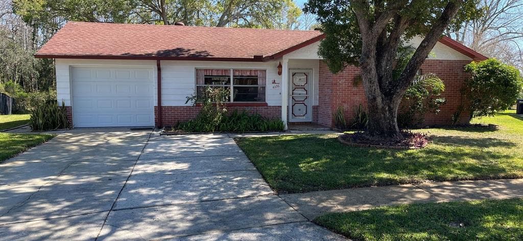 4336 BLACK FOX DRIVE NEW PORT RICHEY, FL 34653